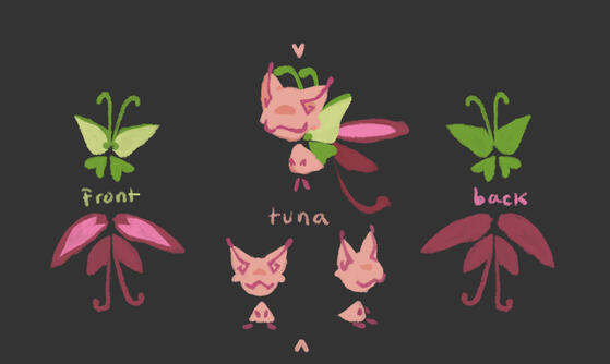 Tuna Shapes Reference Sheet